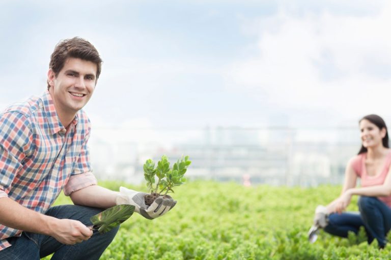 jardin_écologique
