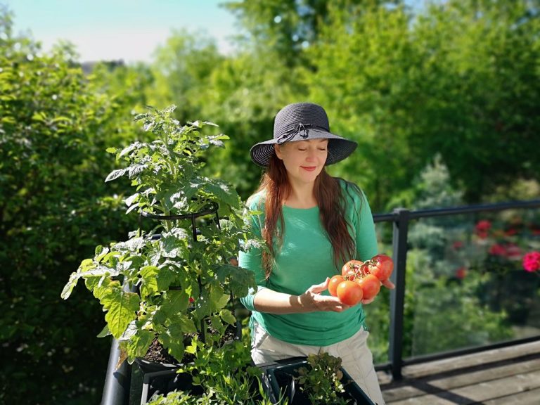 Créer un potager sur son balcon : guide pour débutants