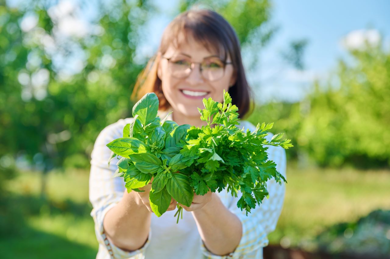 cultiver-des-herbes aromatiques-en-intérieur