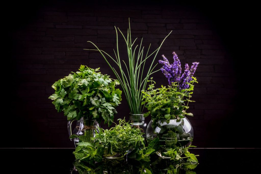 plantes-aromatiques