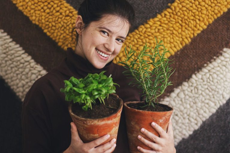 plantes-aromatiques