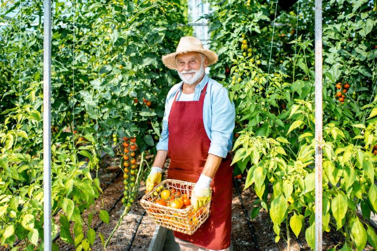 potager