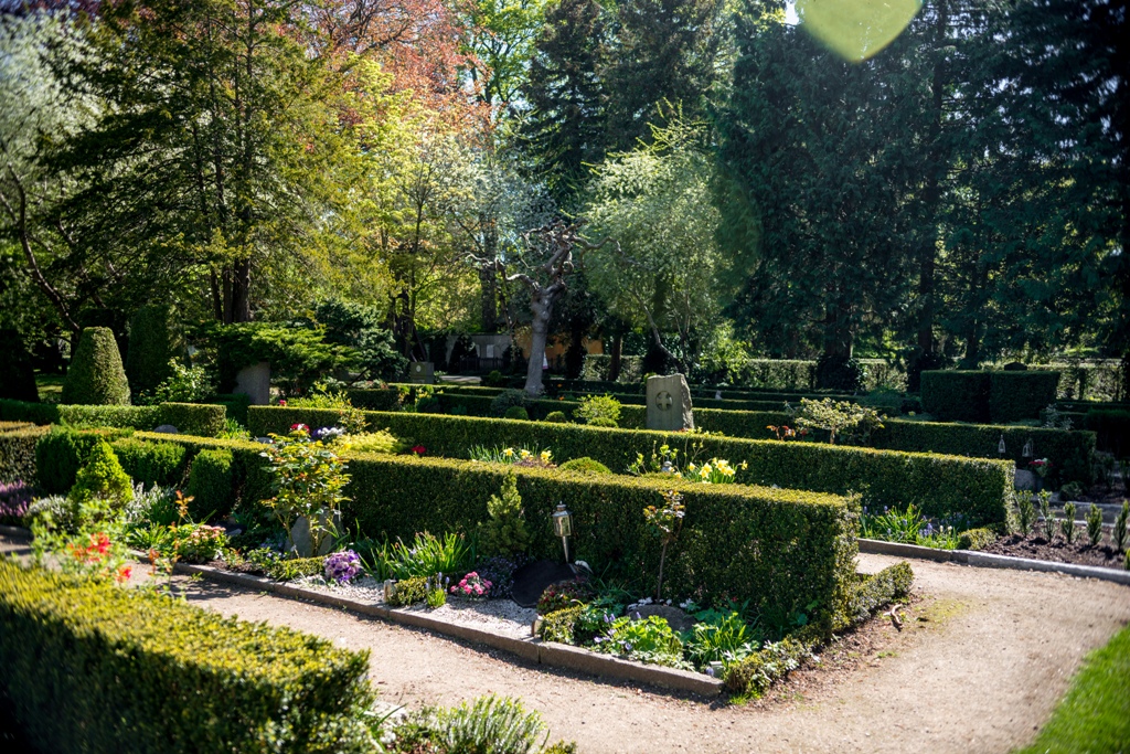 jardin harmonieux