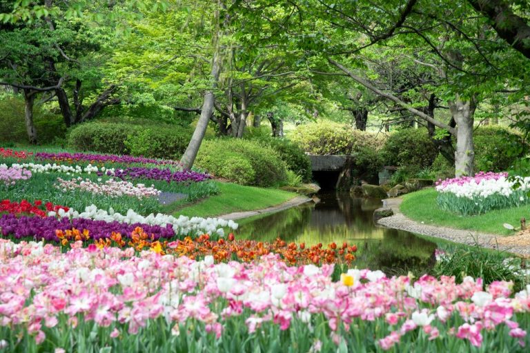 Jardin harmonieux : le guide ultime pour créer votre paradis végétal